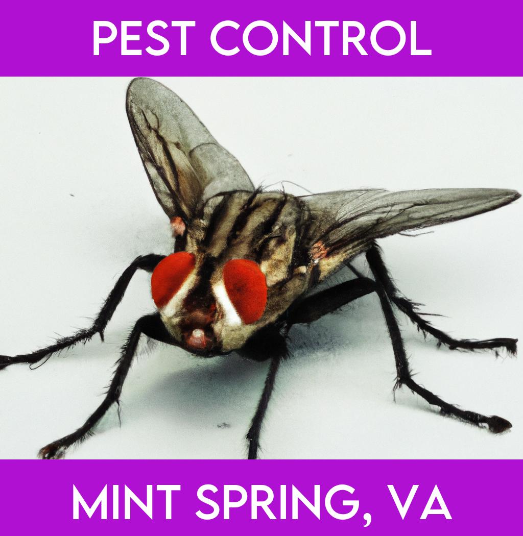 pest control in Mint Spring Virginia