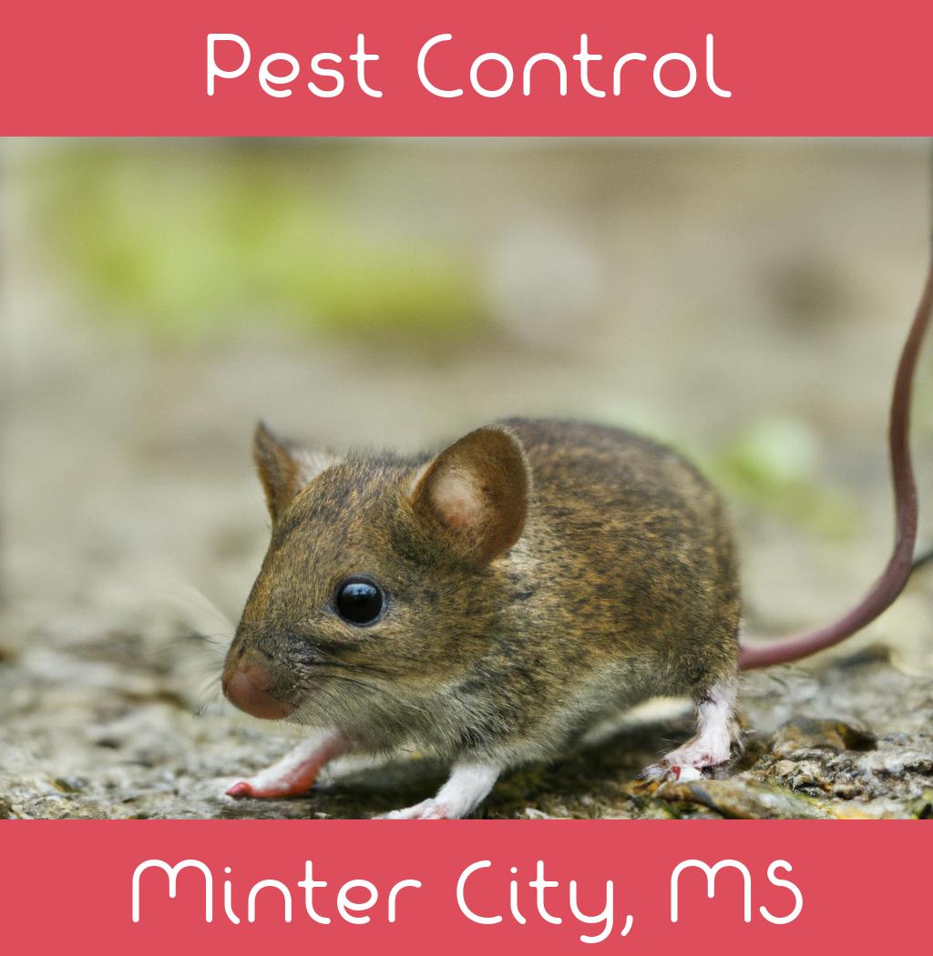 pest control in Minter City Mississippi