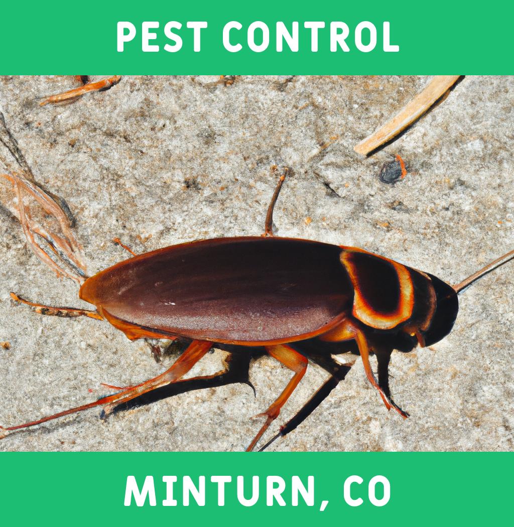 pest control in Minturn Colorado