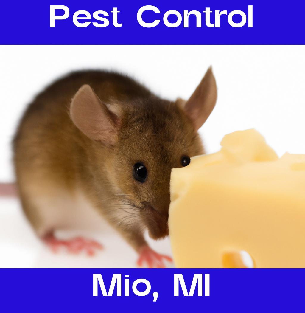pest control in Mio Michigan