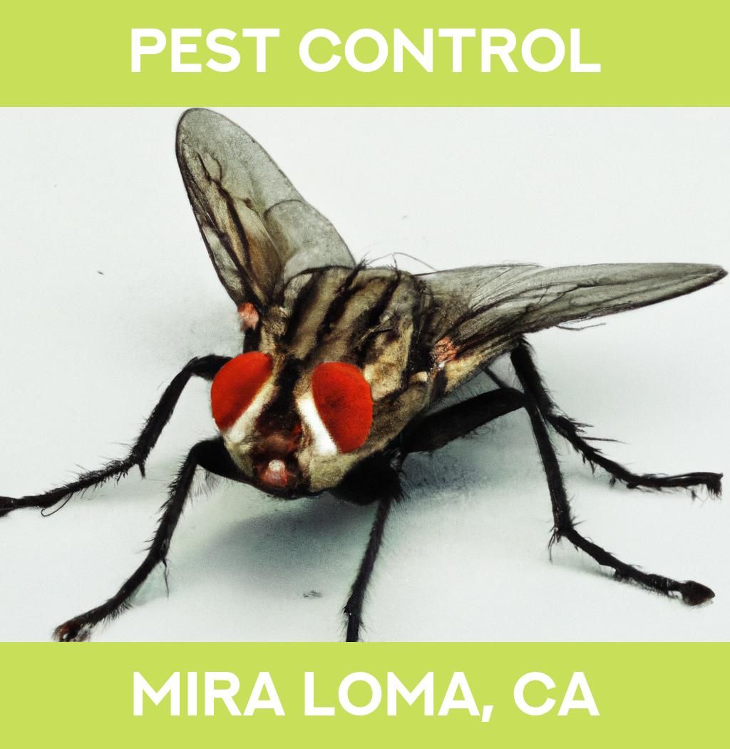 pest control in Mira Loma California