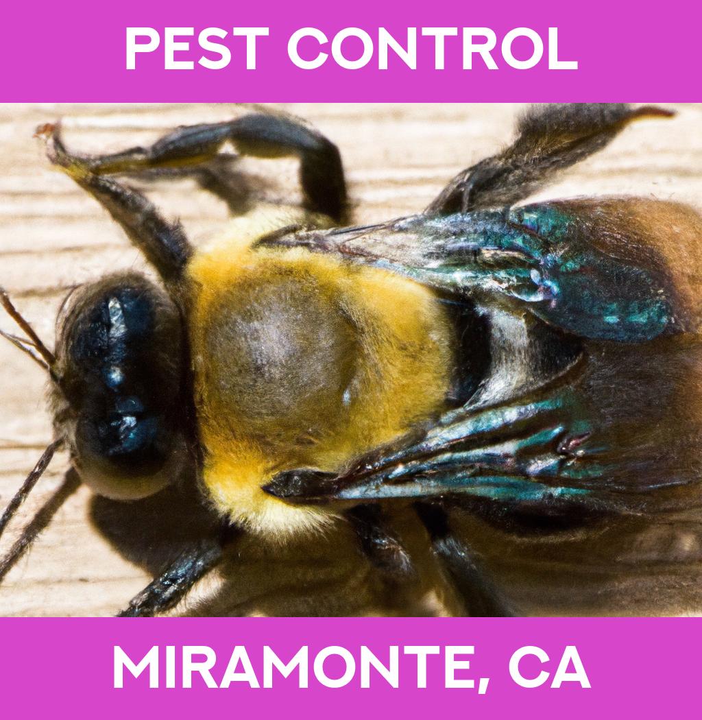 pest control in Miramonte California