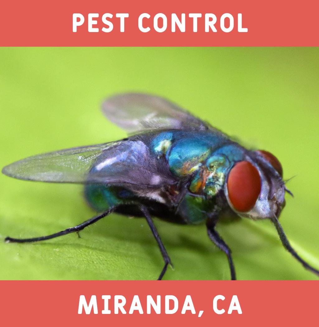 pest control in Miranda California