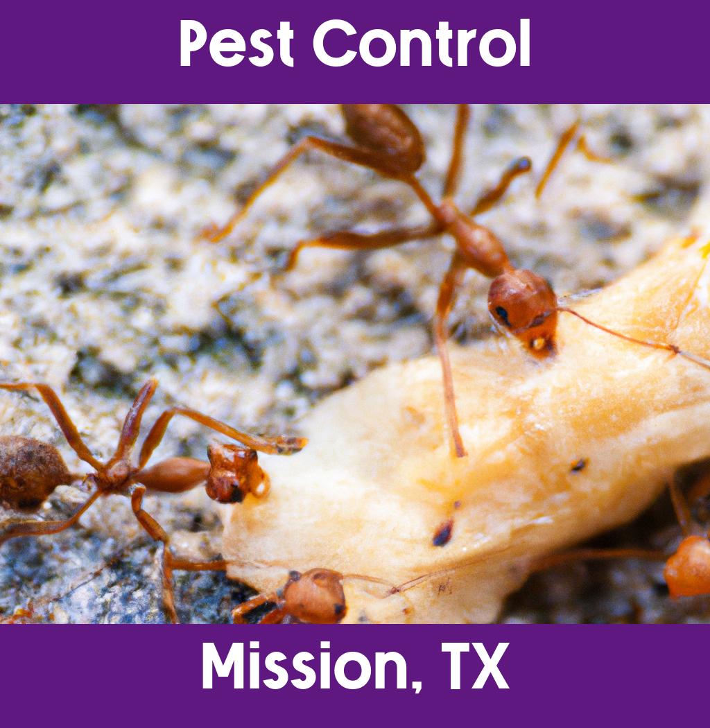 pest control in Mission Texas