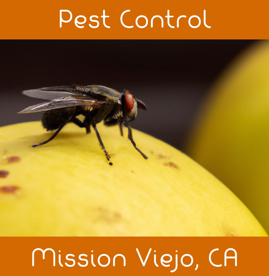 pest control in Mission Viejo California