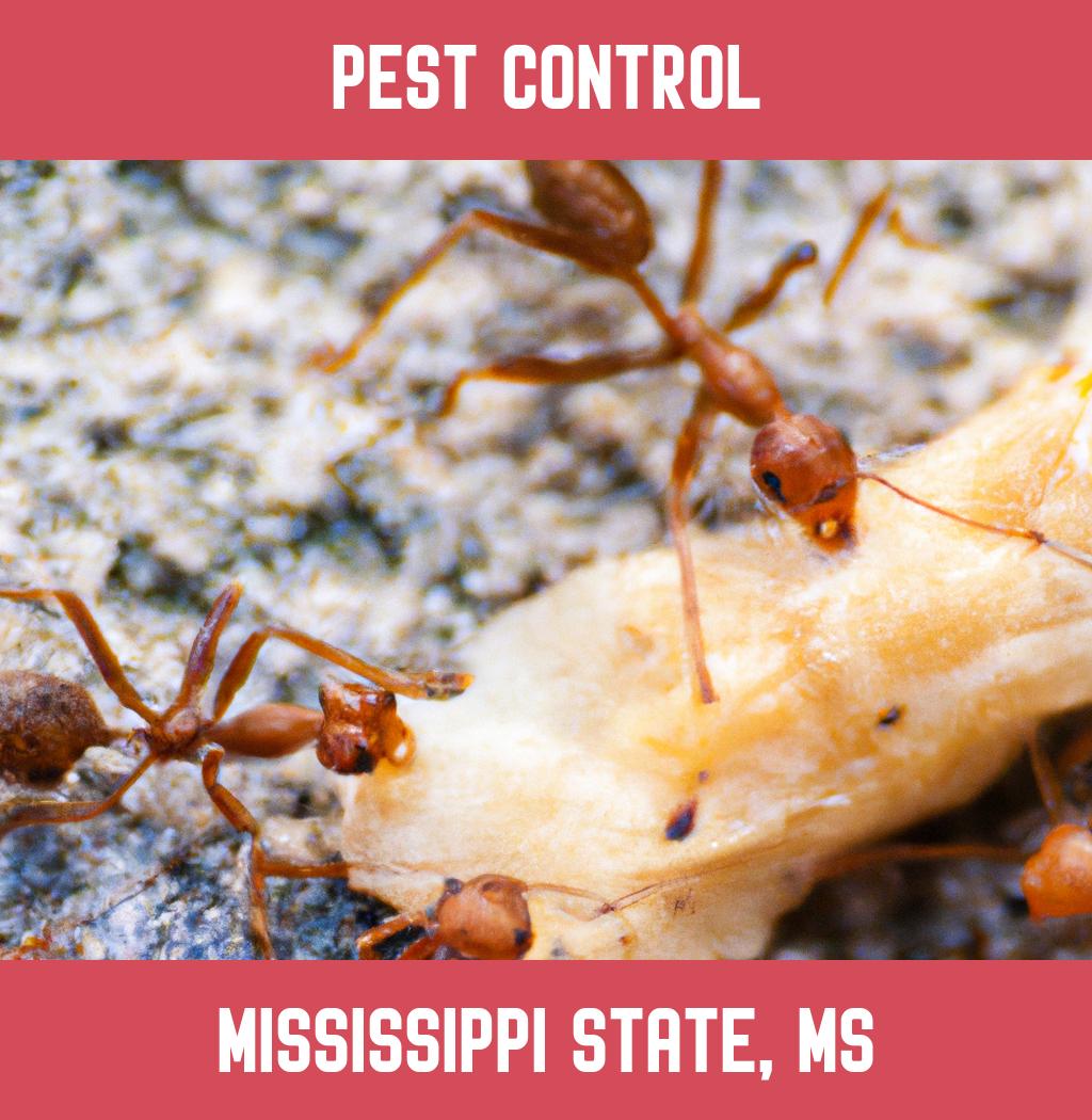 pest control in Mississippi State Mississippi