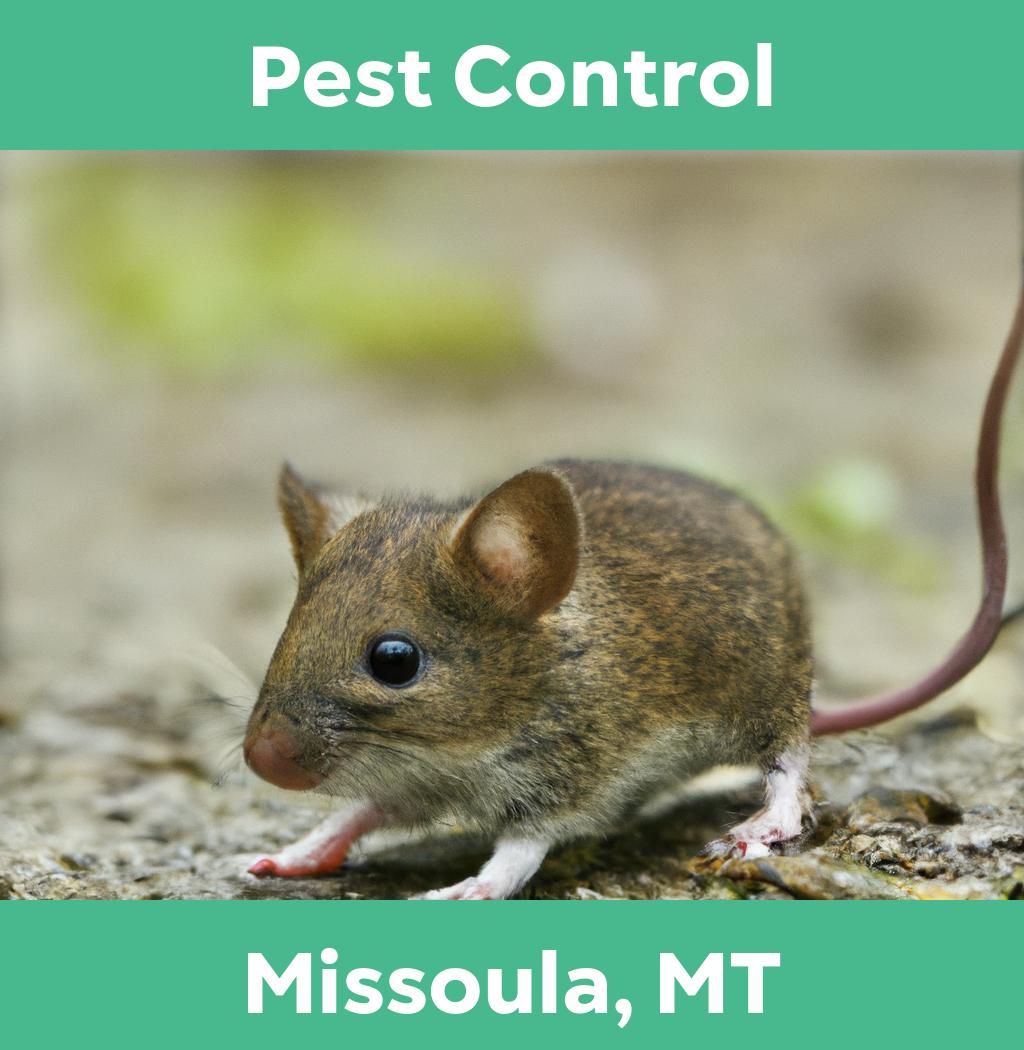 pest control in Missoula Montana
