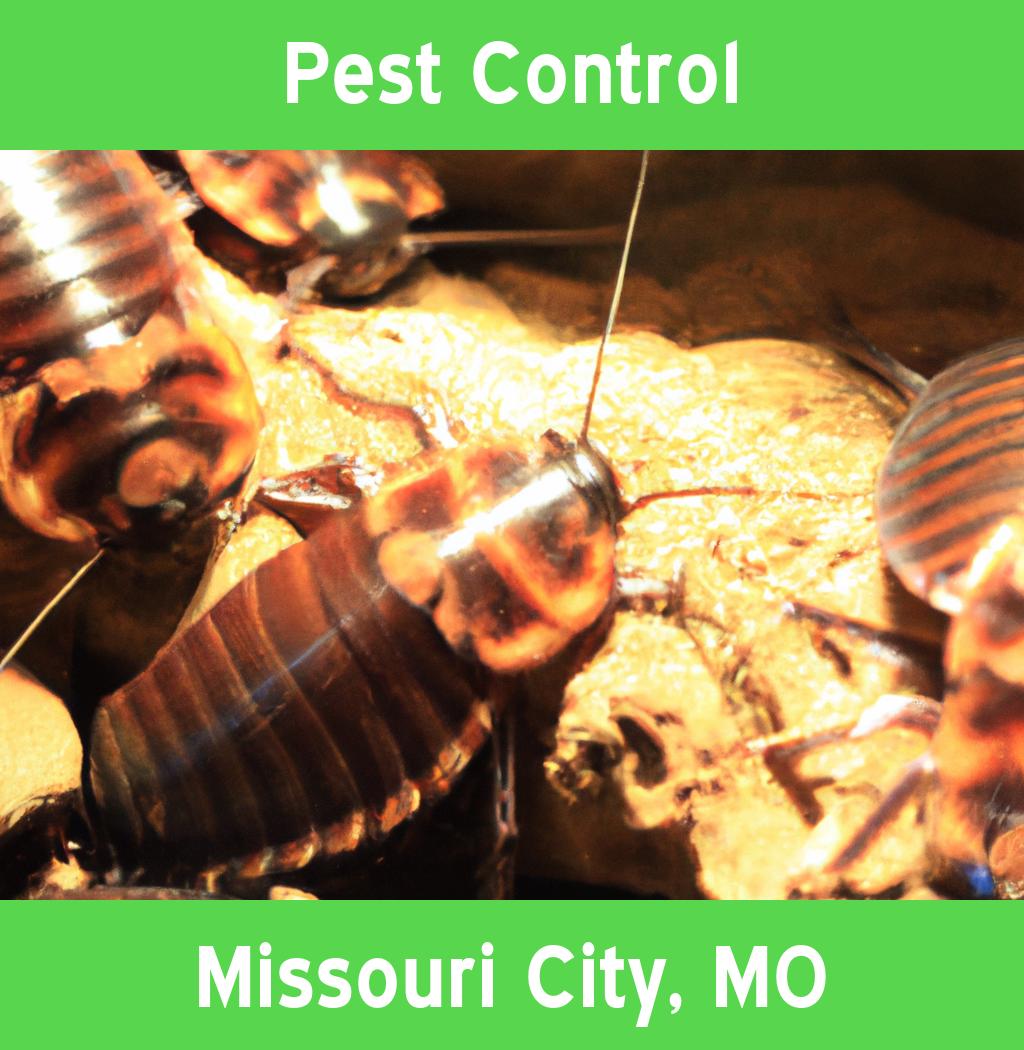 pest control in Missouri City Missouri