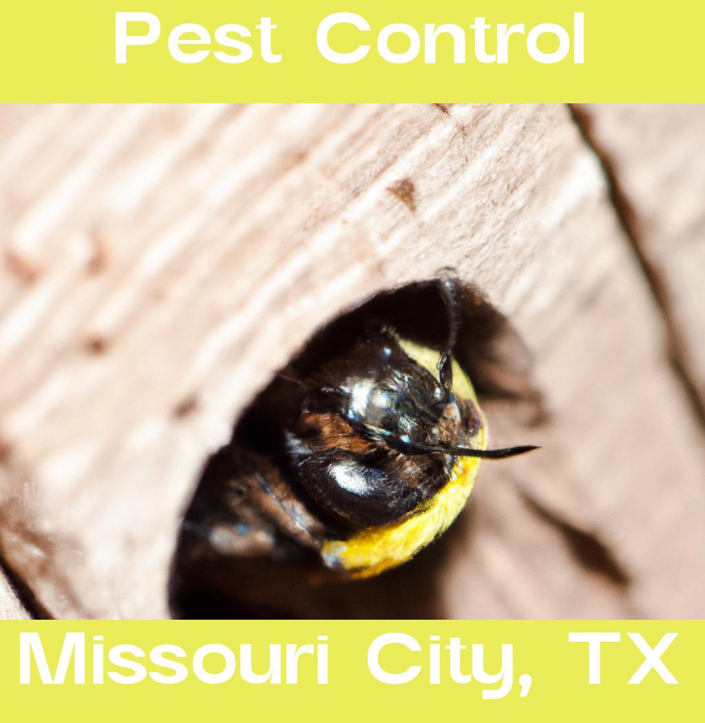 pest control in Missouri City Texas