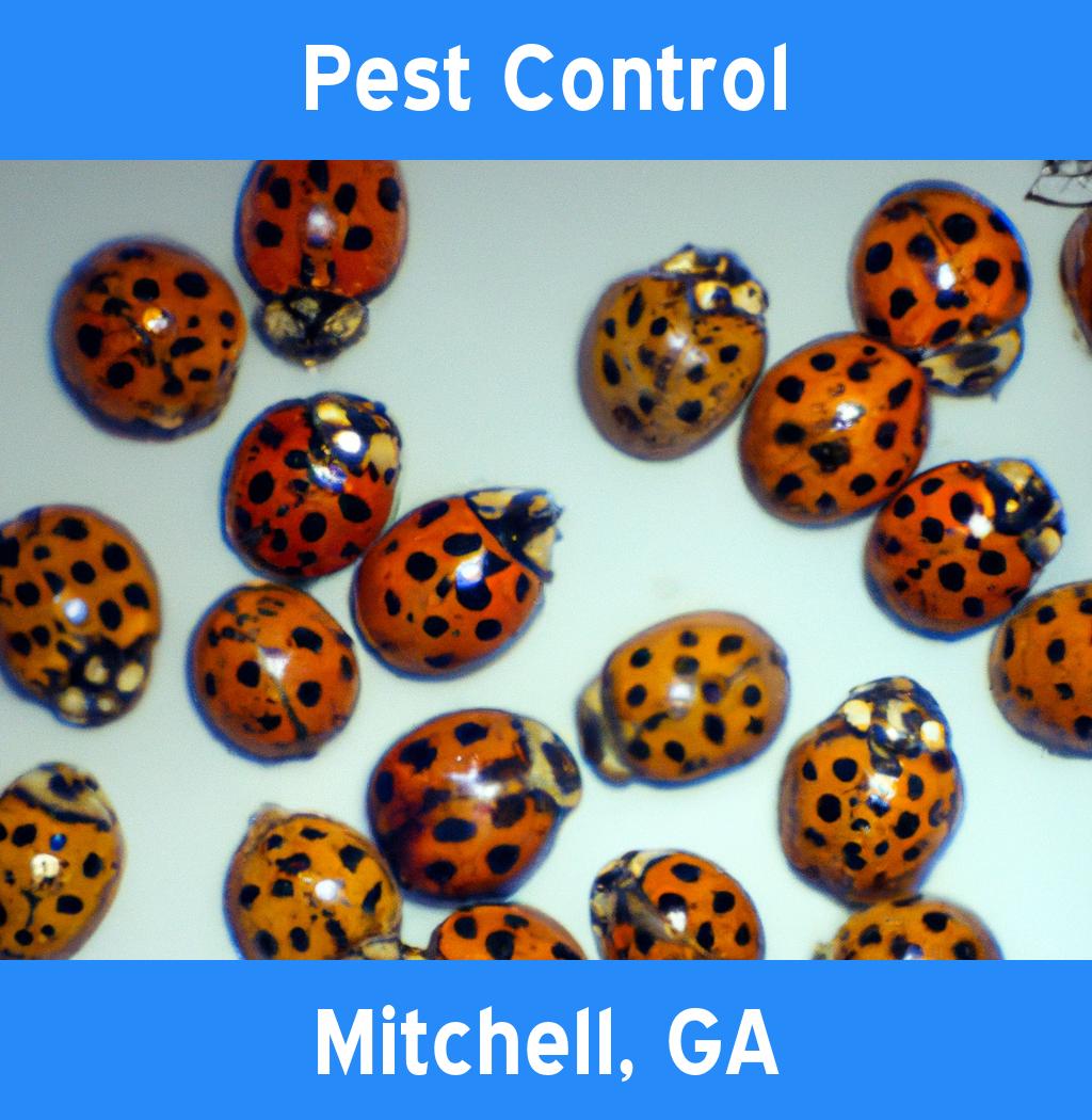 pest control in Mitchell Georgia