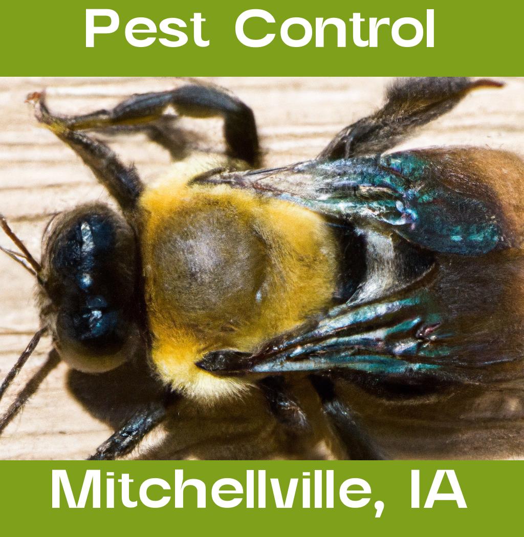 pest control in Mitchellville Iowa