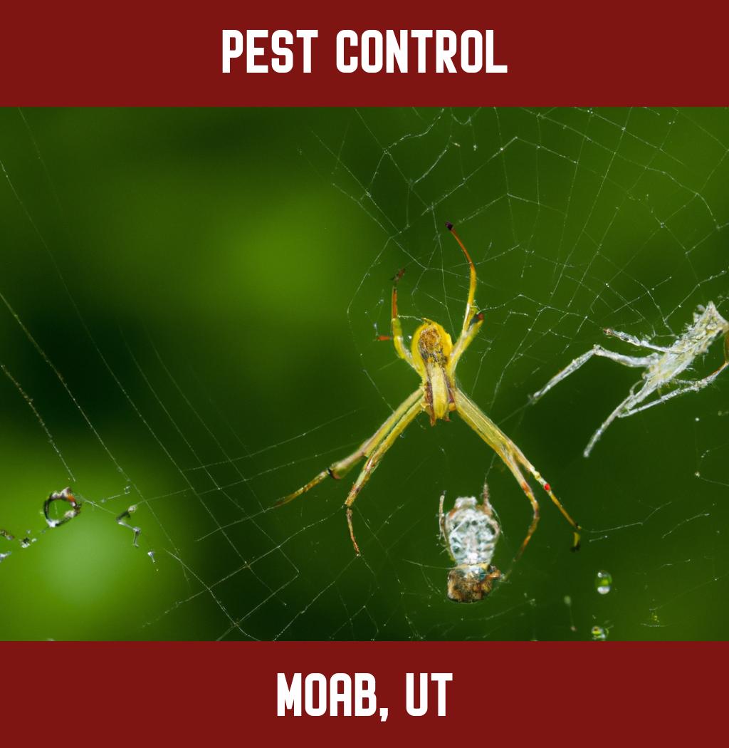 pest control in Moab Utah