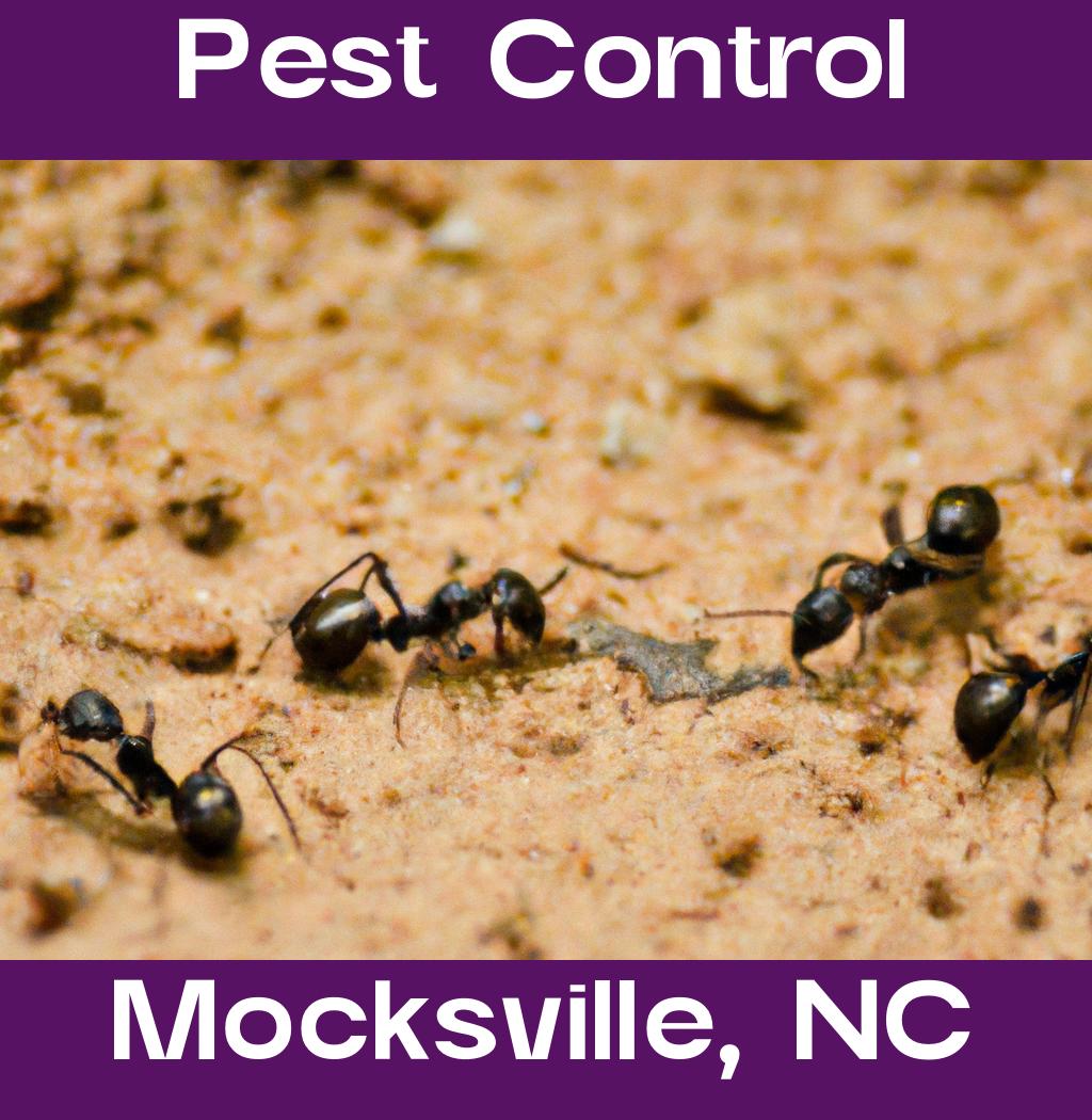 pest control in Mocksville North Carolina