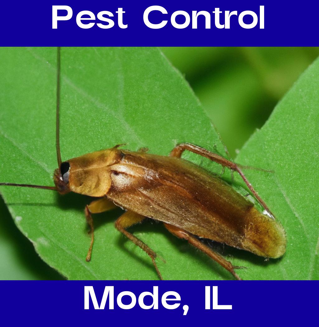 pest control in Mode Illinois