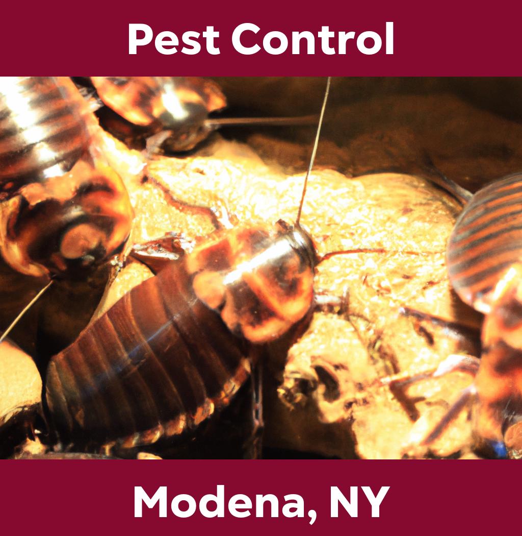 pest control in Modena New York