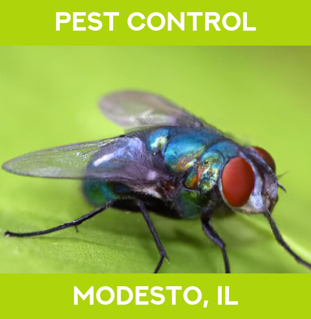 pest control in Modesto Illinois
