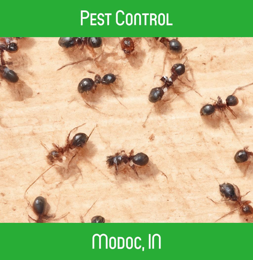 pest control in Modoc Indiana