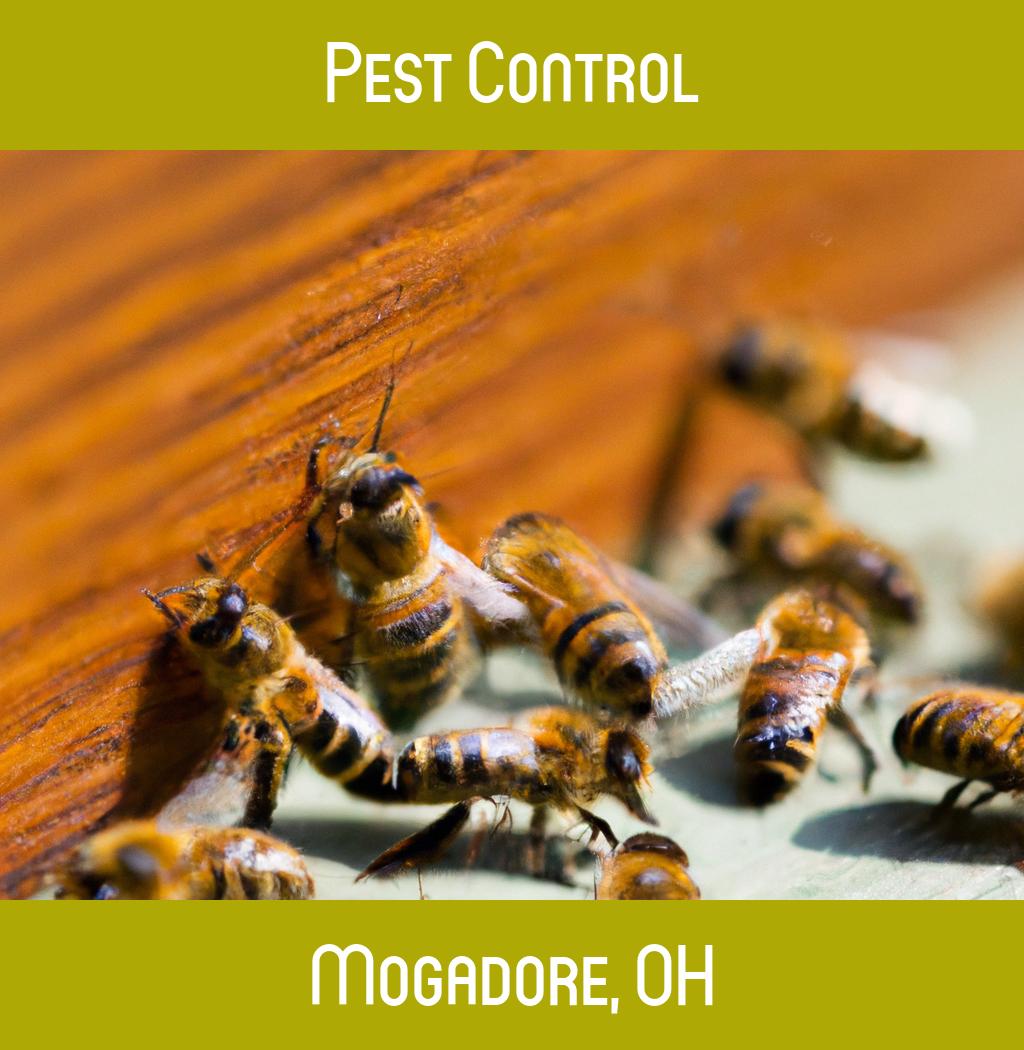 pest control in Mogadore Ohio