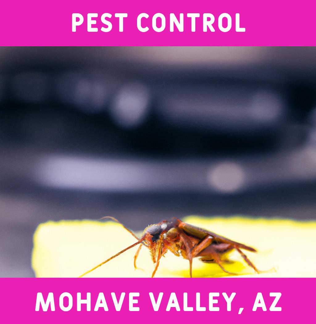 pest control in Mohave Valley Arizona