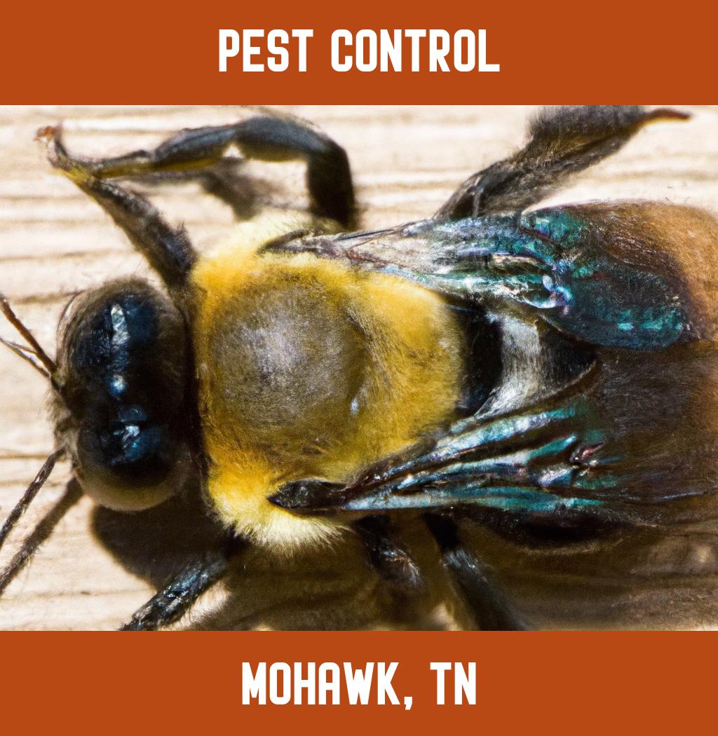 pest control in Mohawk Tennessee
