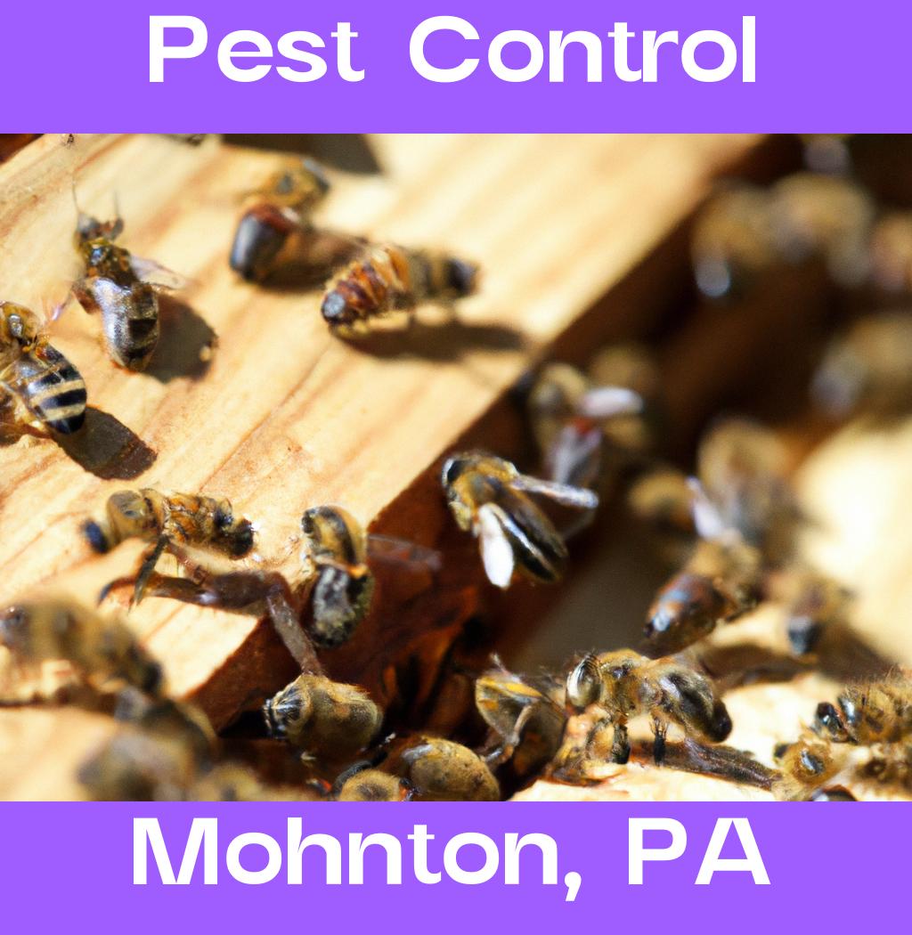 pest control in Mohnton Pennsylvania