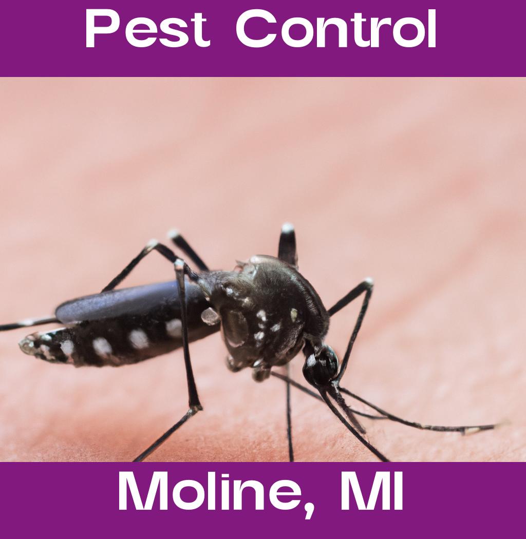 pest control in Moline Michigan