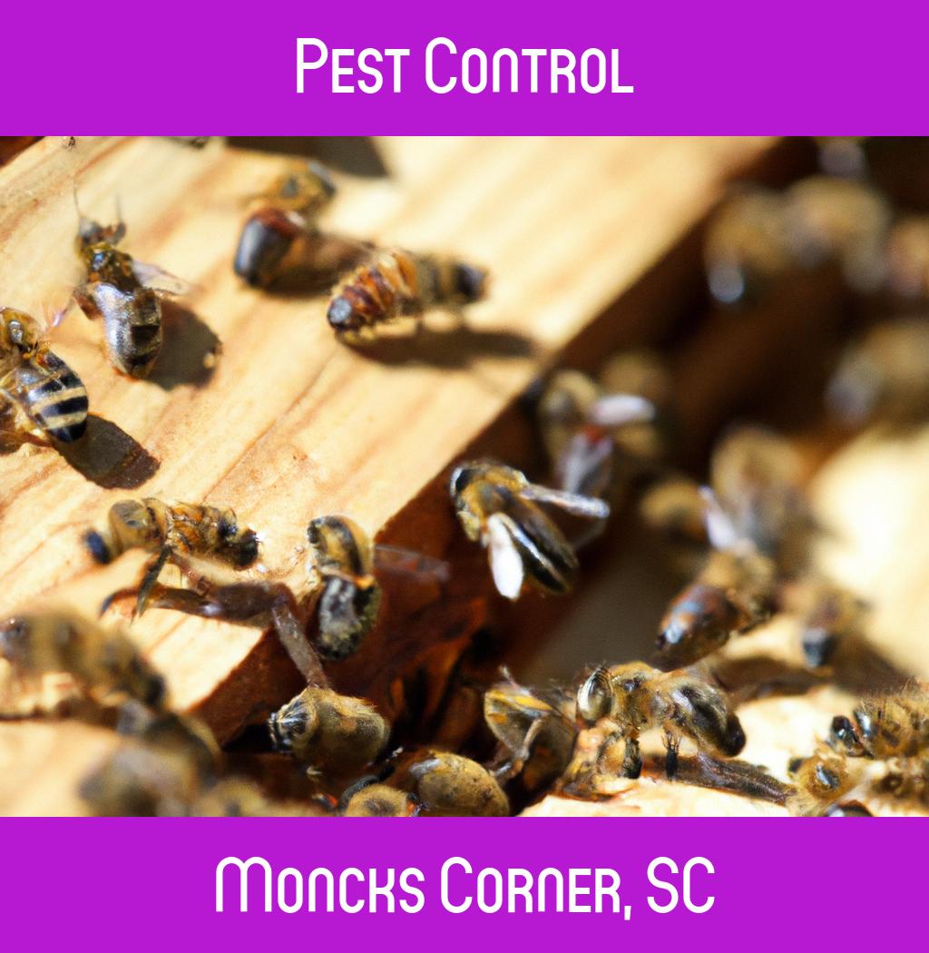 pest control in Moncks Corner South Carolina