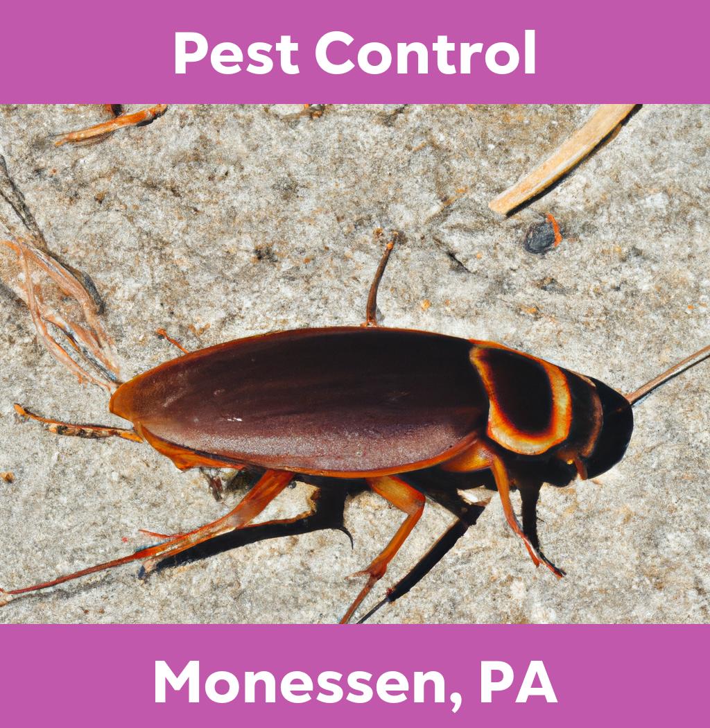 pest control in Monessen Pennsylvania