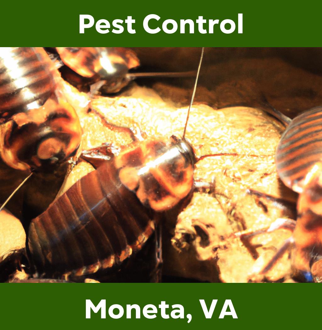pest control in Moneta Virginia
