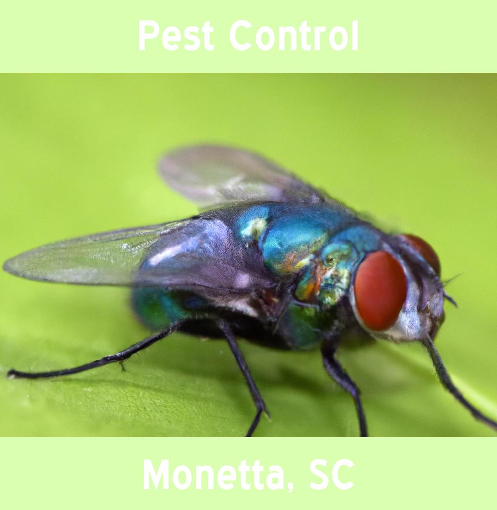pest control in Monetta South Carolina