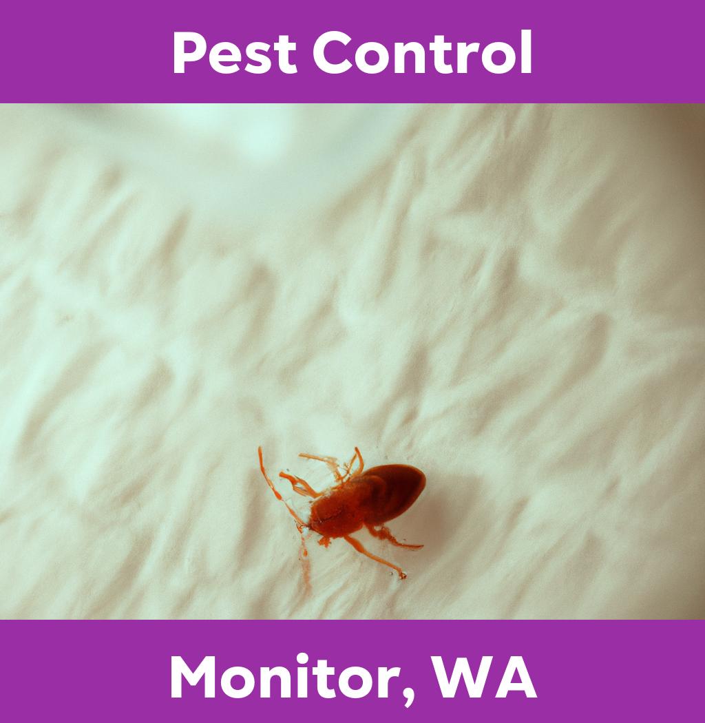 pest control in Monitor Washington