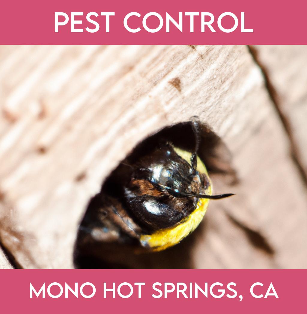 pest control in Mono Hot Springs California