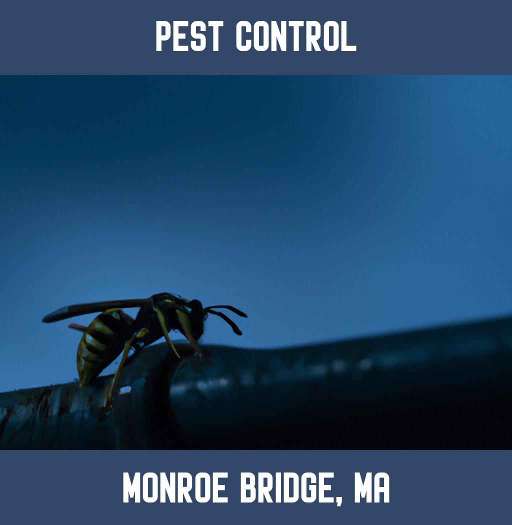 pest control in Monroe Bridge Massachusetts