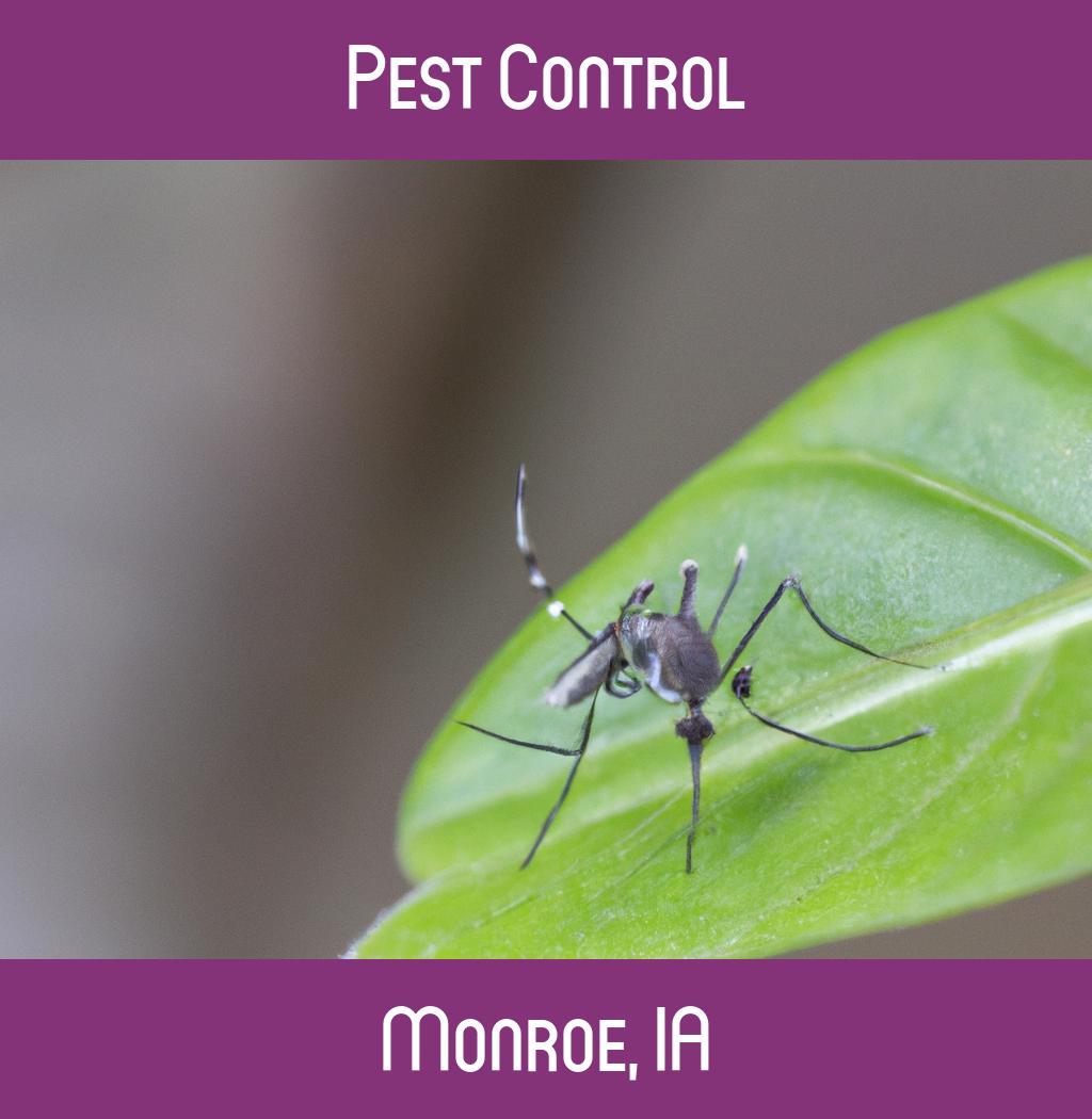 pest control in Monroe Iowa