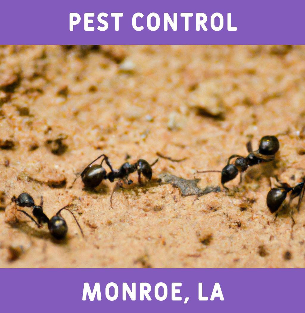 pest control in Monroe Louisiana