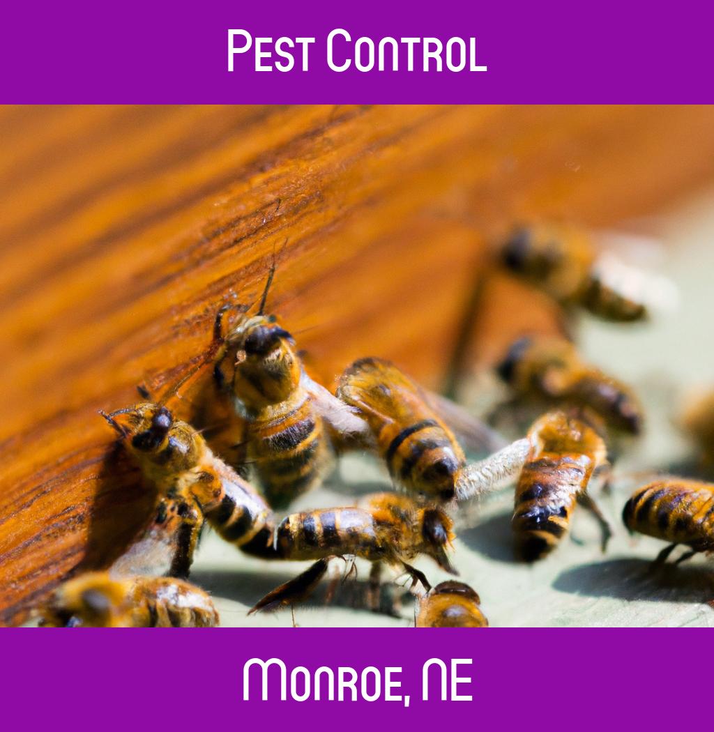 pest control in Monroe Nebraska