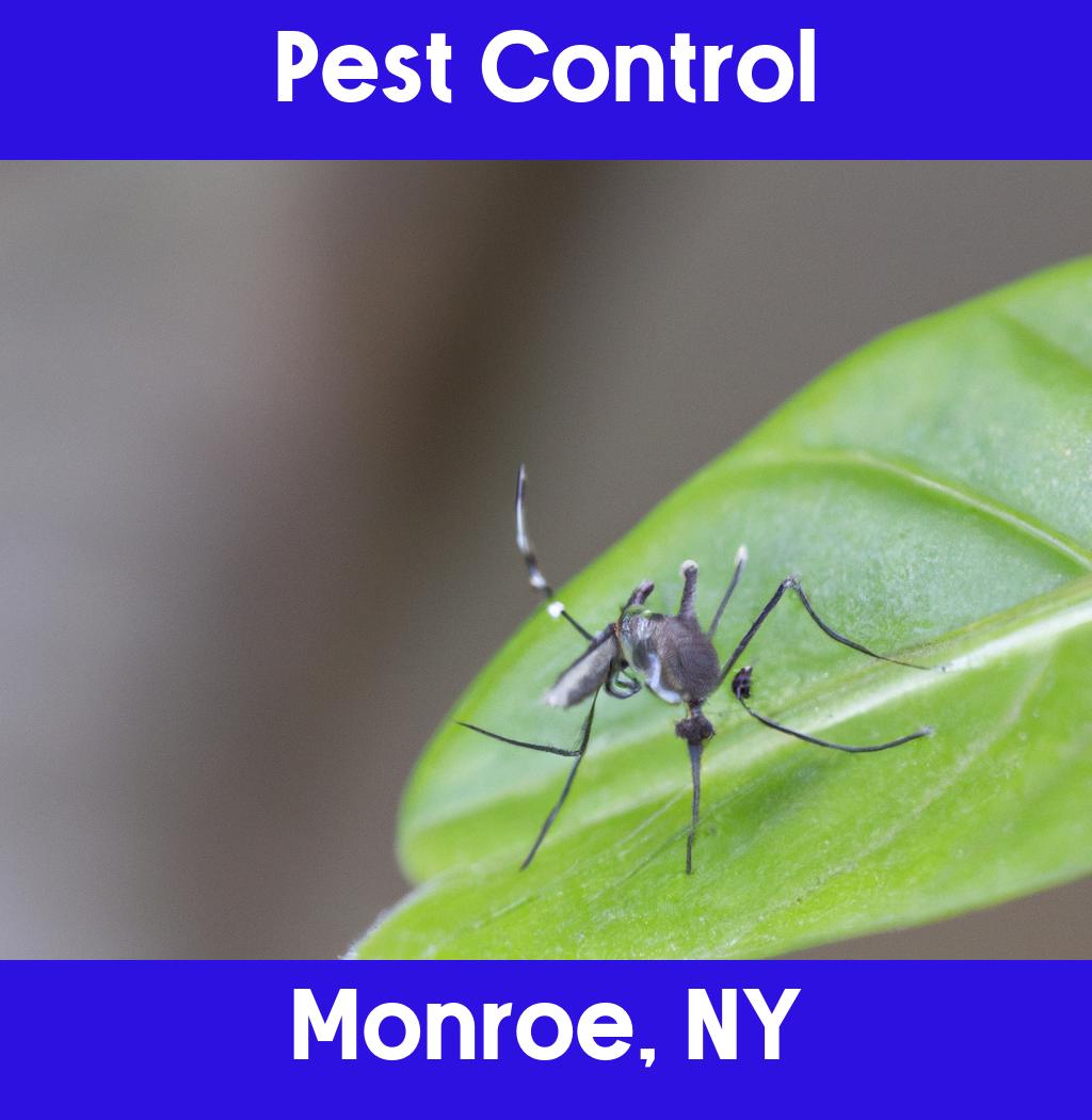 pest control in Monroe New York