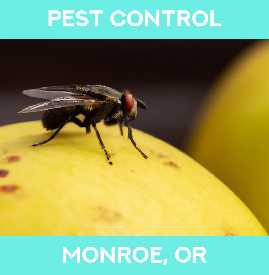 pest control in Monroe Oregon