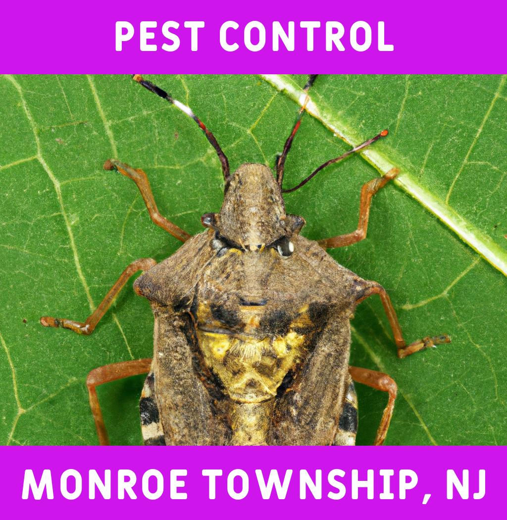 pest control in Monroe Township New Jersey