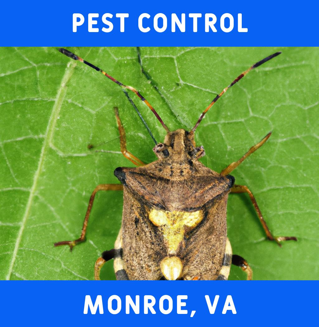pest control in Monroe Virginia