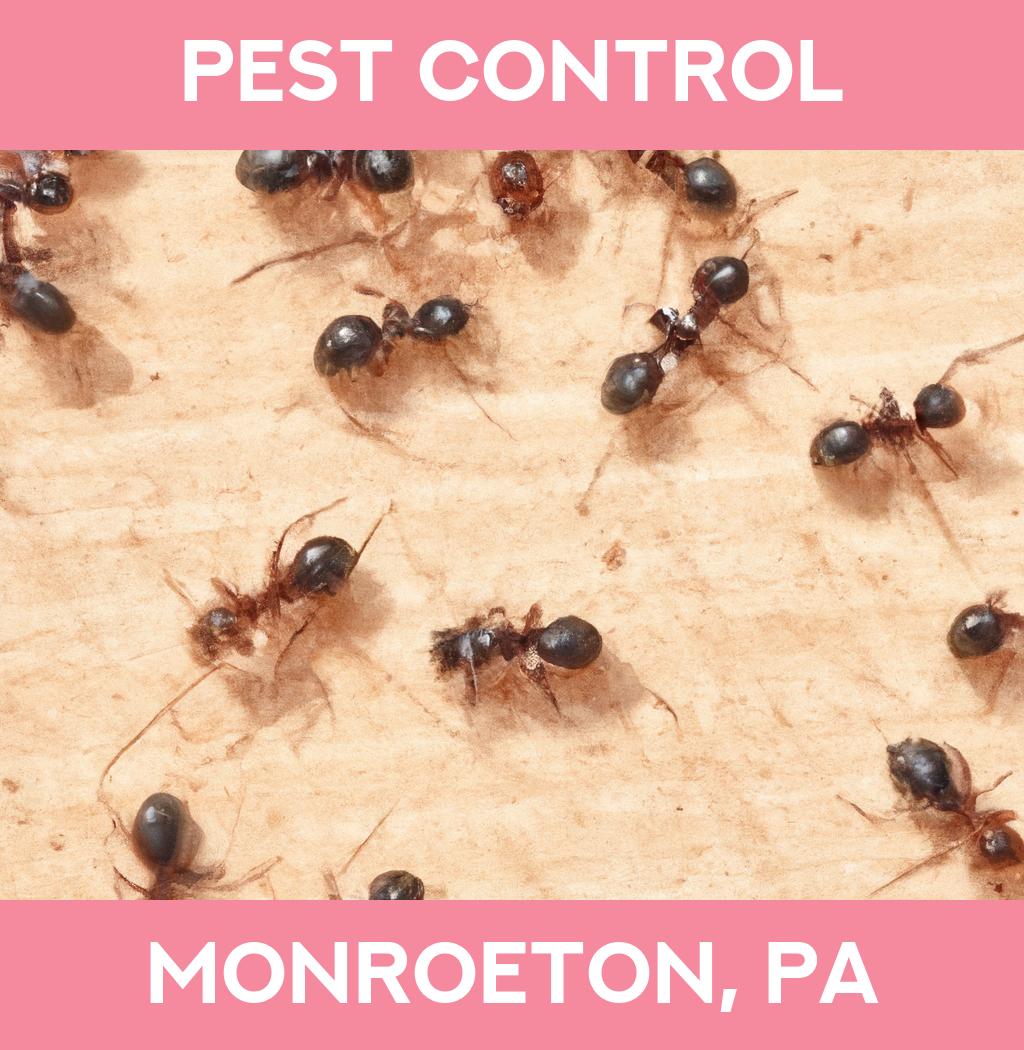 pest control in Monroeton Pennsylvania
