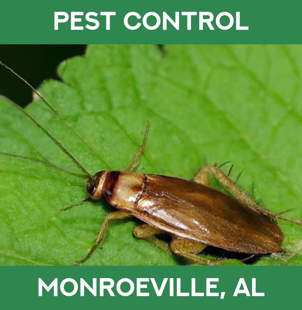 pest control in Monroeville Alabama