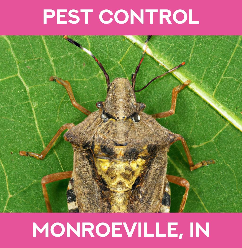 pest control in Monroeville Indiana