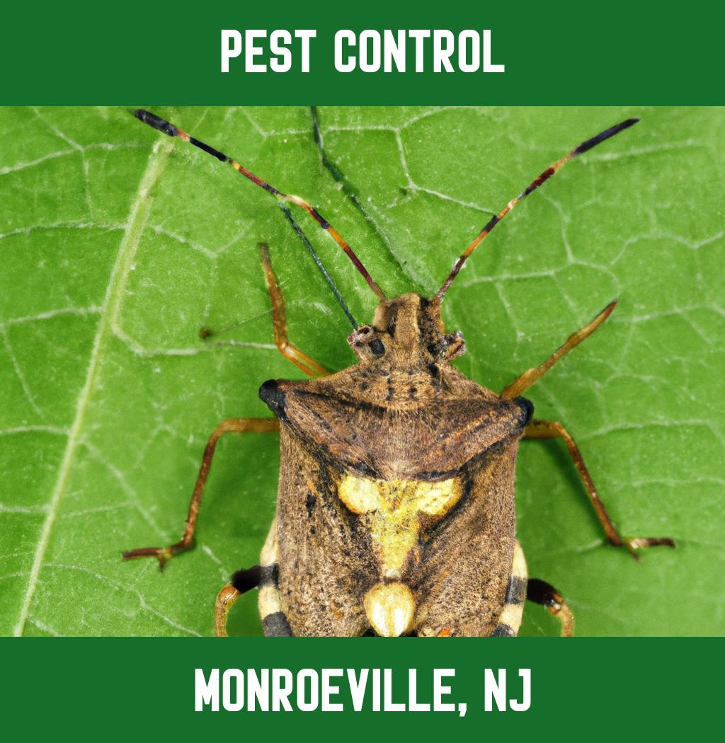 pest control in Monroeville New Jersey
