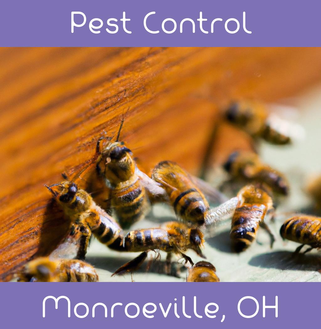 pest control in Monroeville Ohio