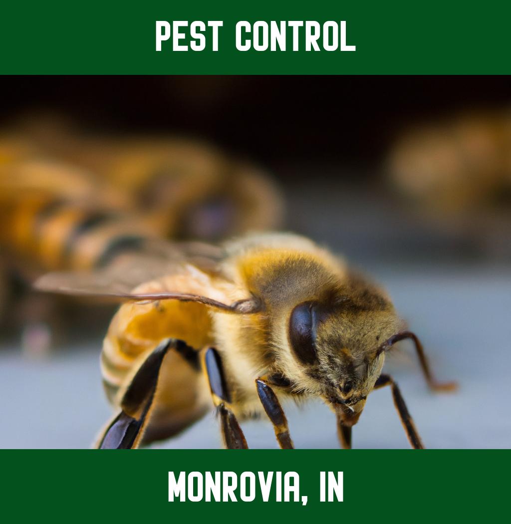 pest control in Monrovia Indiana