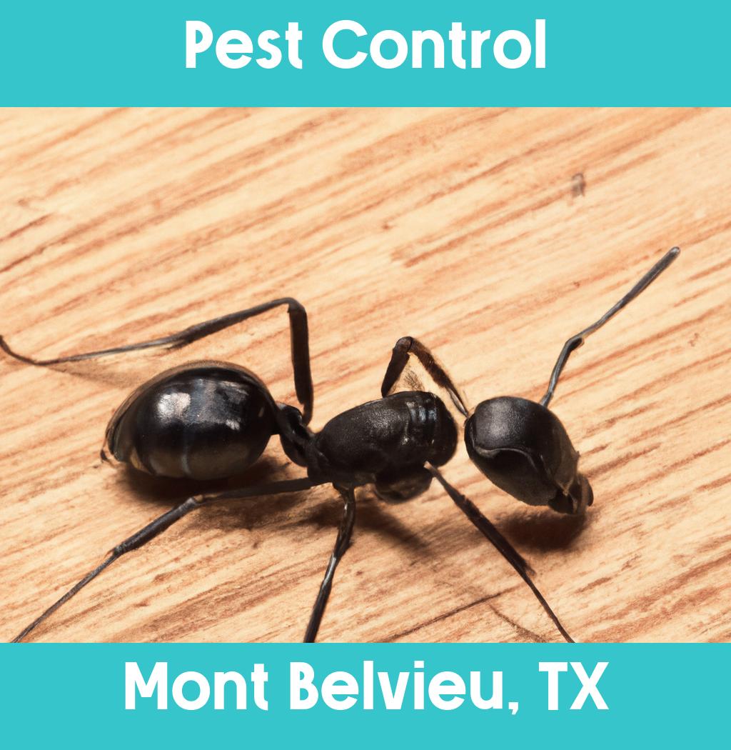 pest control in Mont Belvieu Texas