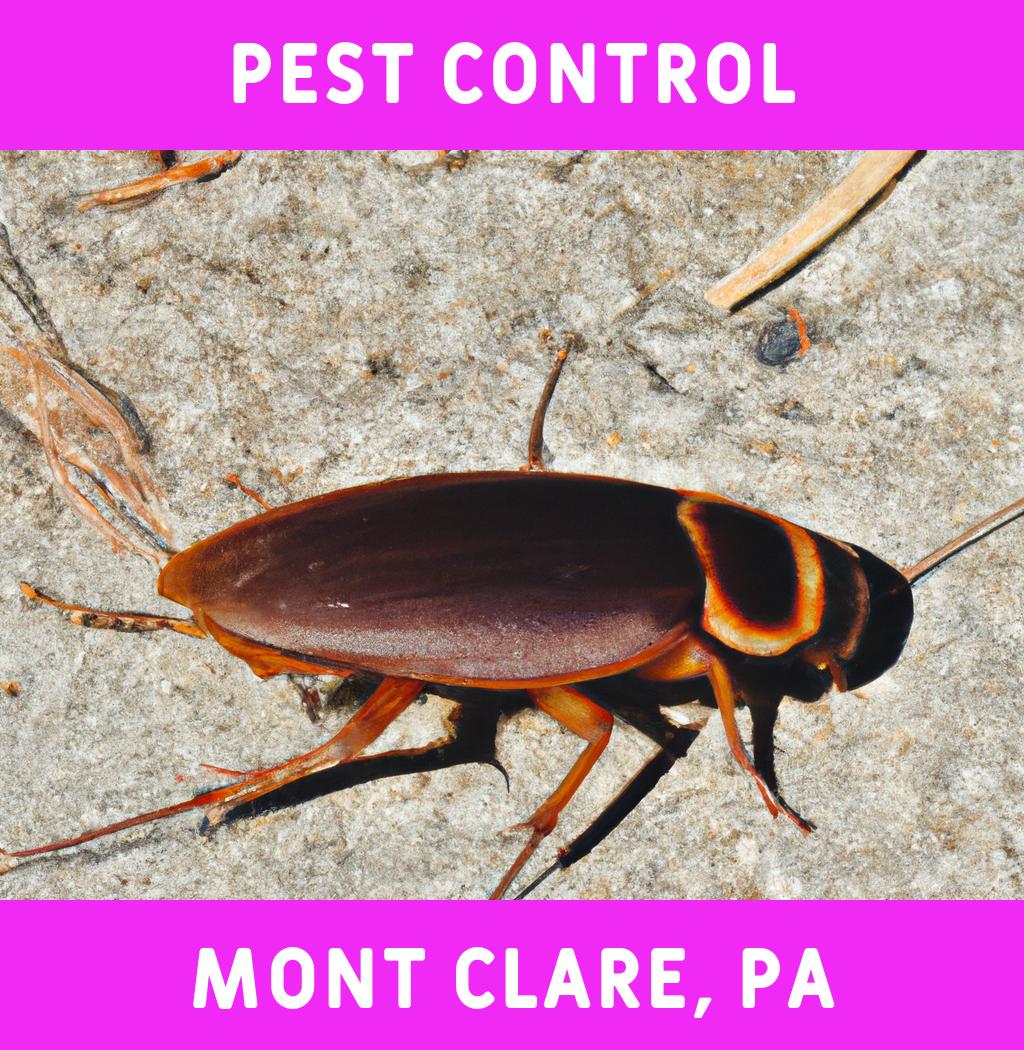 pest control in Mont Clare Pennsylvania