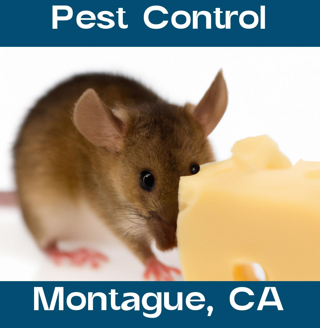 pest control in Montague California