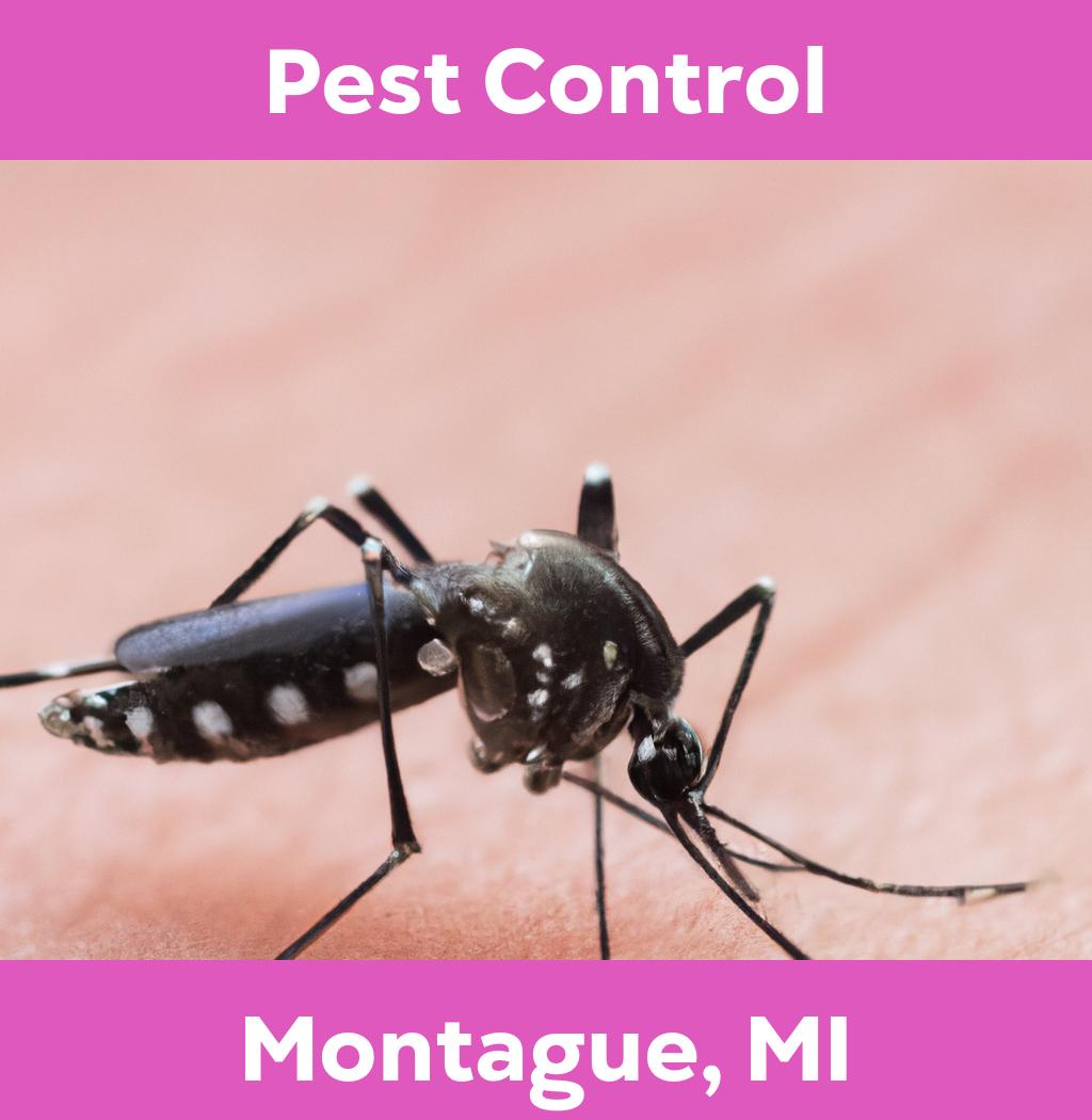 pest control in Montague Michigan